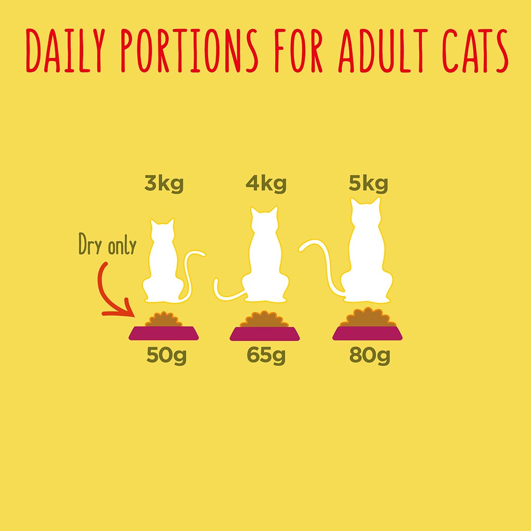 Dry food serving size for cats outlet